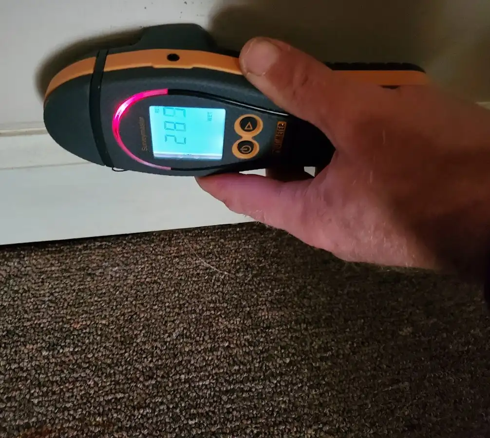 Moisture detection at baseboard during Sewage Cleanup & Sanitation in Union Grove